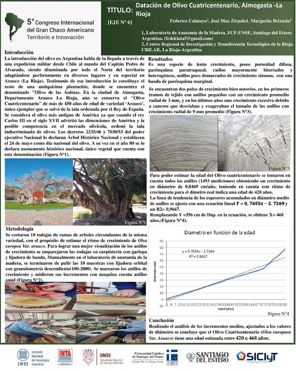 Vista previa: Datación de Olivo Cuatricentenario, Aimogasta -La Rioja