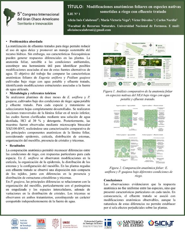 Vista previa: Modificaciones anatómicas foliares en especies nativas sometidas a riego con efluente tratado